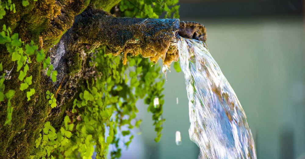 Brunnenwasser