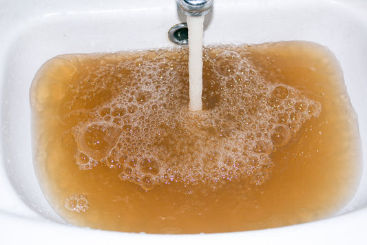 Coliforme Bakterien im Trinkwasser