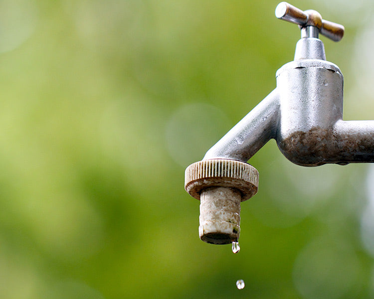 Wassertest Brunnenwasser